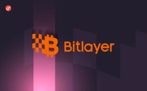 bitlayer.jpg