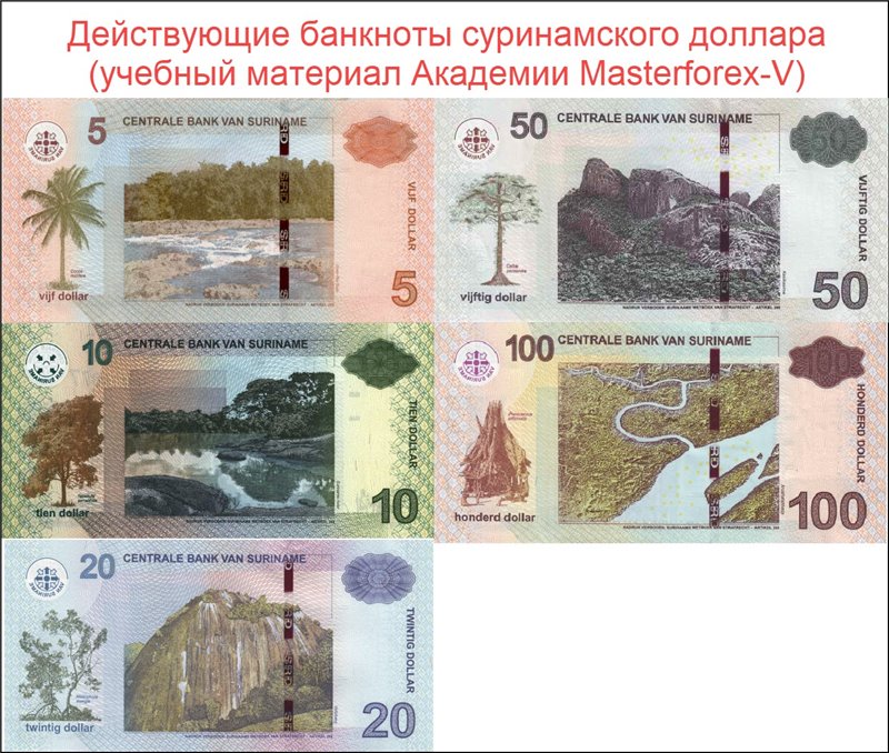 Сurrent Surinamese Dollar Exchange Rate
