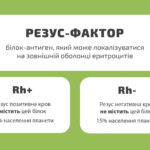 Резус конфлікт виникає якщо: основні причини та фактори ризику