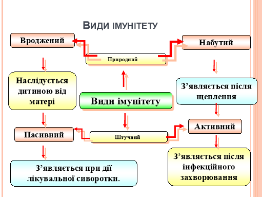 Який імунітет виникає внаслідок профілактичного щеплення вакцинації? Який імунітет виникає внаслідок профілактичного щеплення вакцинації?