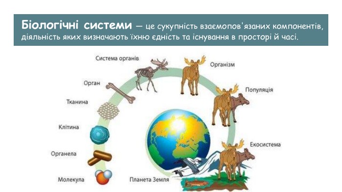 Що таке перший рівень, на якому виникає життя на Землі?