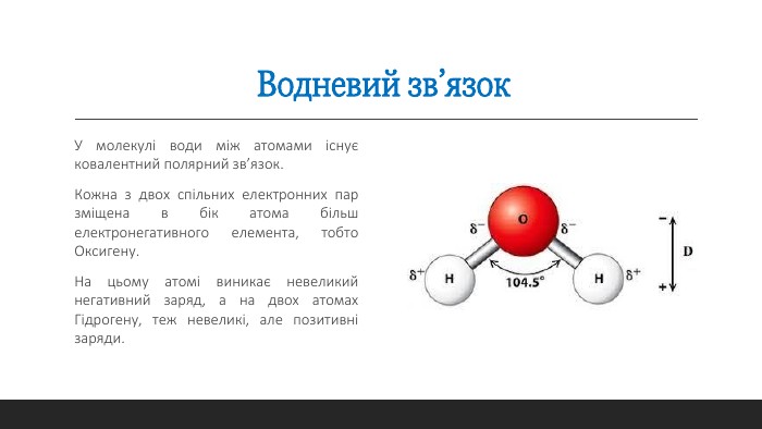 Зв’язок який виникає між молекулами води: як він працює?