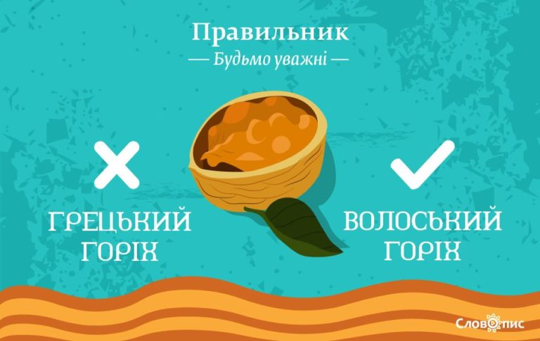 Грецький і волоський горіх: у чому основна різниця між ними?