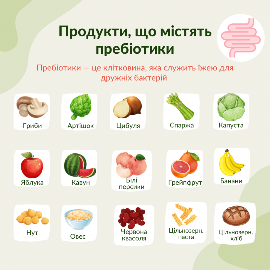 Чим відрізняються пробіотики і пребіотики? Різниця та користь
