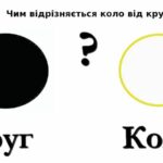 У чому різниця між колом і кругом? Розбираємо ці математичні терміни