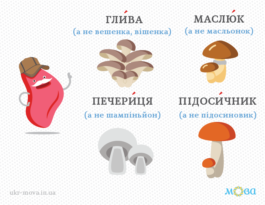 У чому різниця між печерицями і шампіньйонами? Порівняння грибів