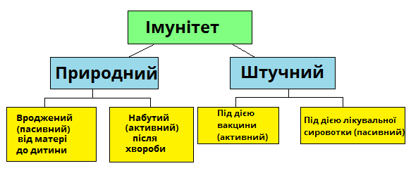 Вкажіть вид імунітету, що виникає внаслідок щеплення: ваш вибір?