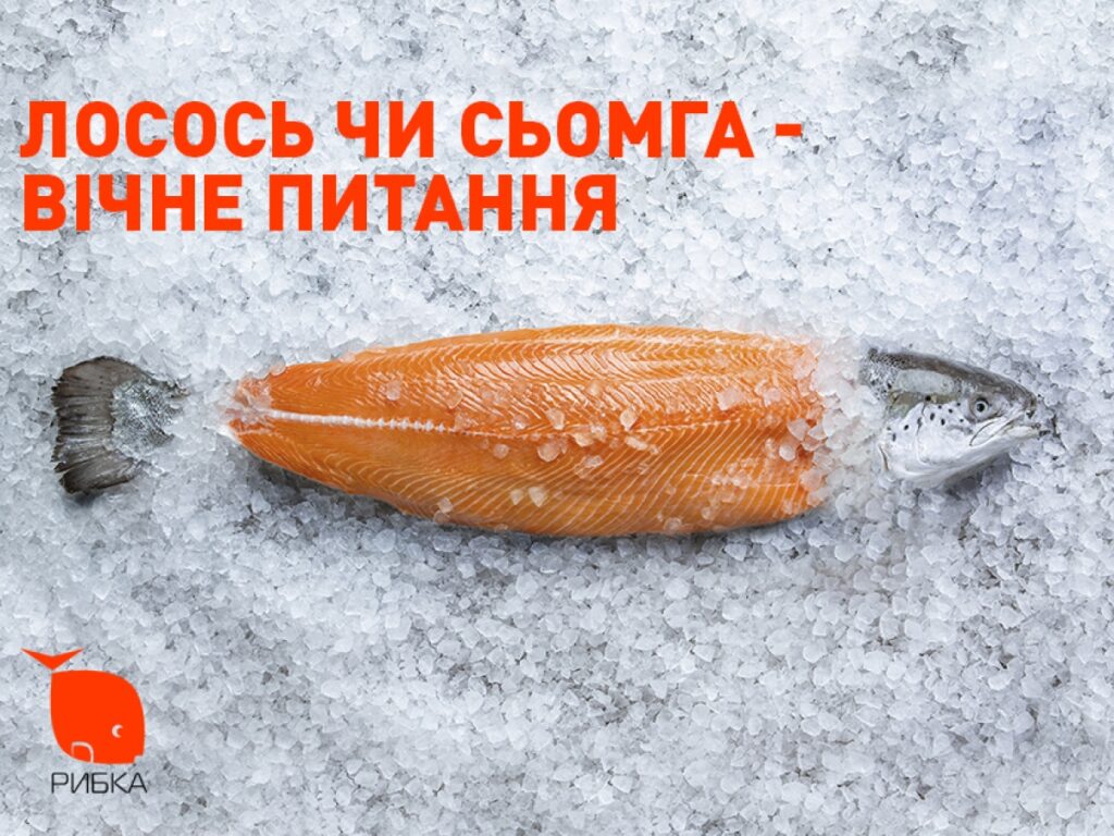 У чому різниця між сьомгою і лососем: основні відмінності?