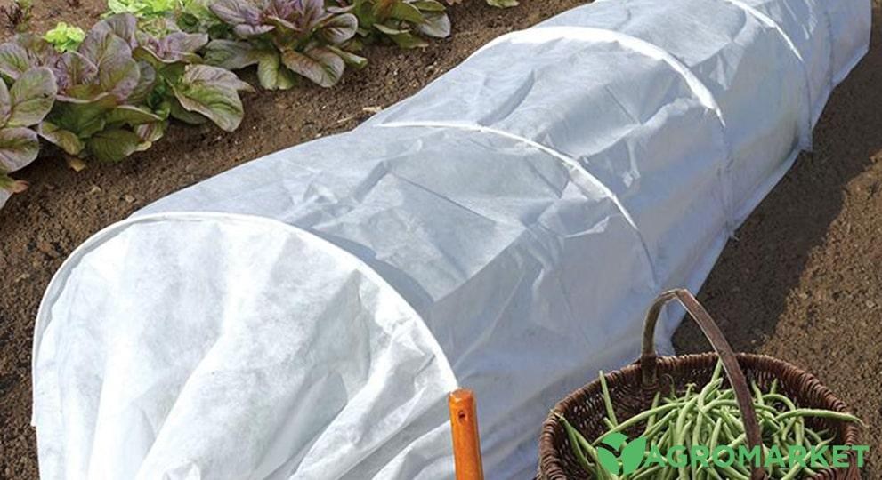Чи є різниця якою стороною стелити агроволокно для садівництва?
