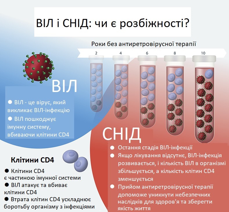 У чому різниця між ВІЛ та СНІД: ключові відмінності та симптоми