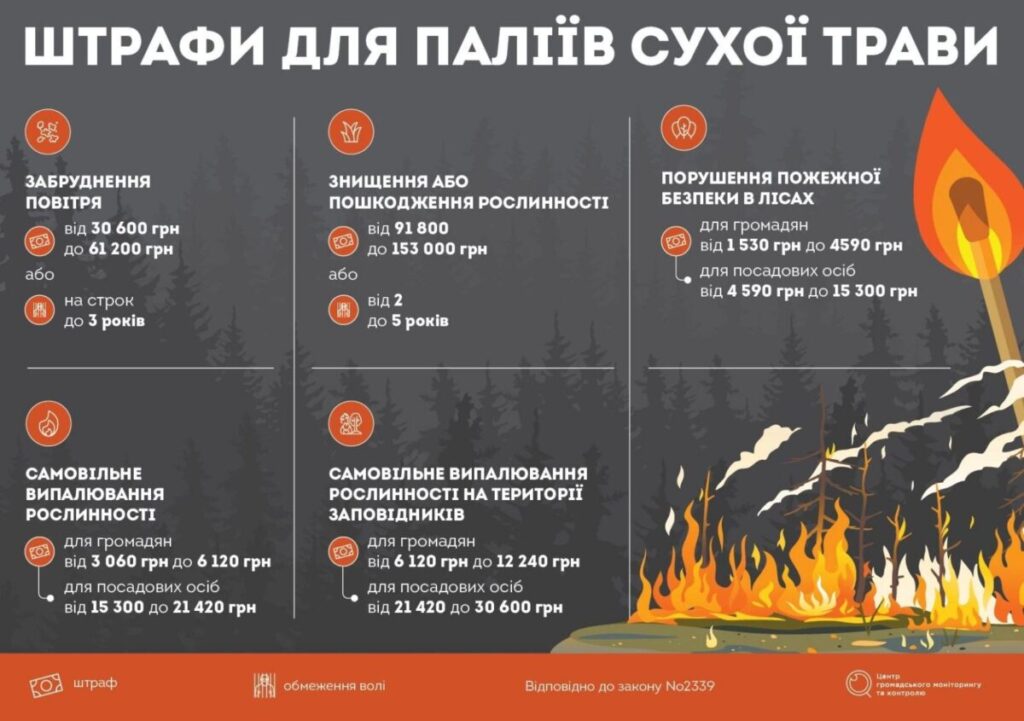 Як уникнути штрафу за спалювання сміття: поради та роз’яснення